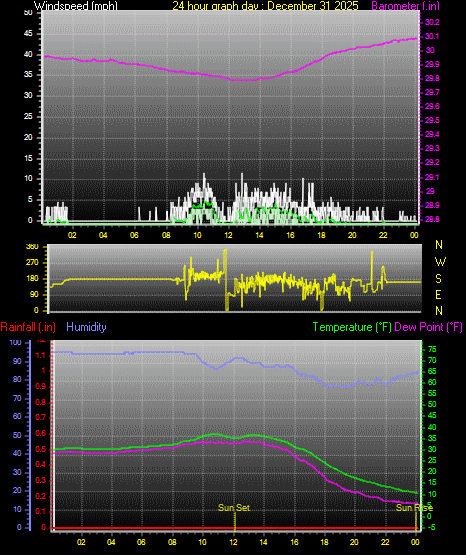 24 Hour Graph for Day 31