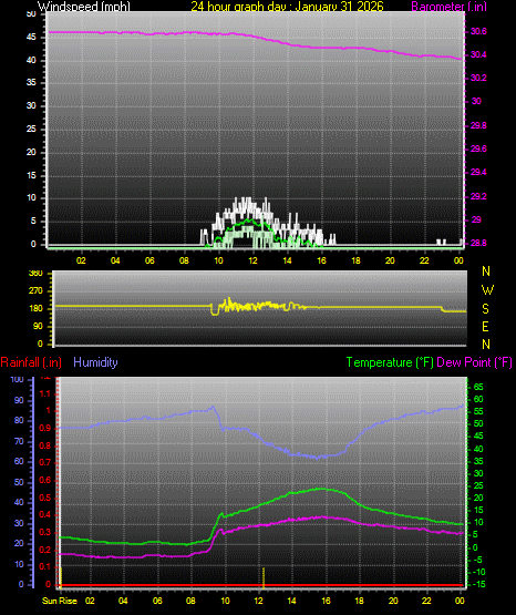 24 Hour Graph for Day 31