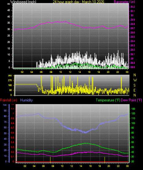 24 Hour Graph for Day 10